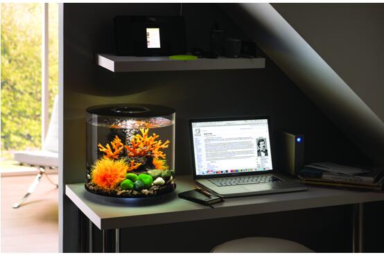 桌面水景新风尚•与biOrb第一次亲密接触