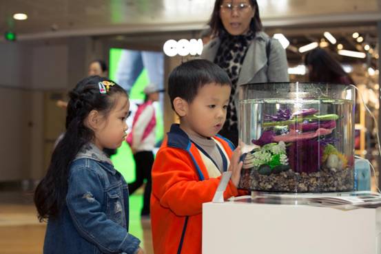 桌面水景新风尚•与biOrb第一次亲密接触