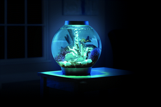 桌面水景新风尚•与biOrb第一次亲密接触