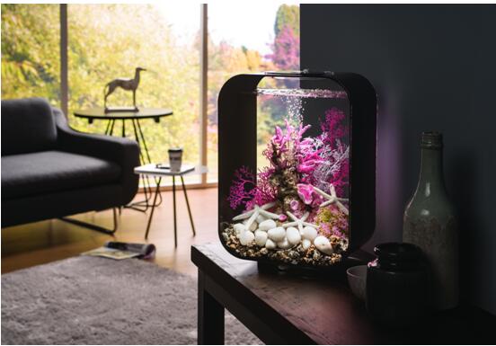 桌面水景新风尚•与biOrb第一次亲密接触