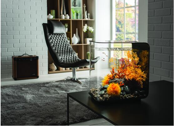 桌面水景新风尚•与biOrb第一次亲密接触