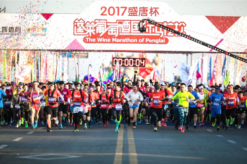 蓬莱马有5000个跑者想跟Freestyle人生故事