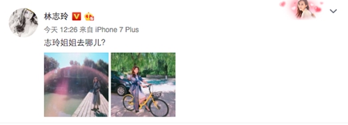 林志玲被曝复合后首晒照 网友却只关心它！