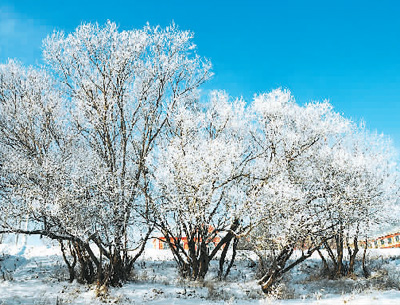 雾凇景观美如画