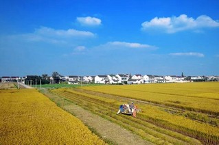 特色田园乡村+旅游：开启吴江乡村旅游新模式