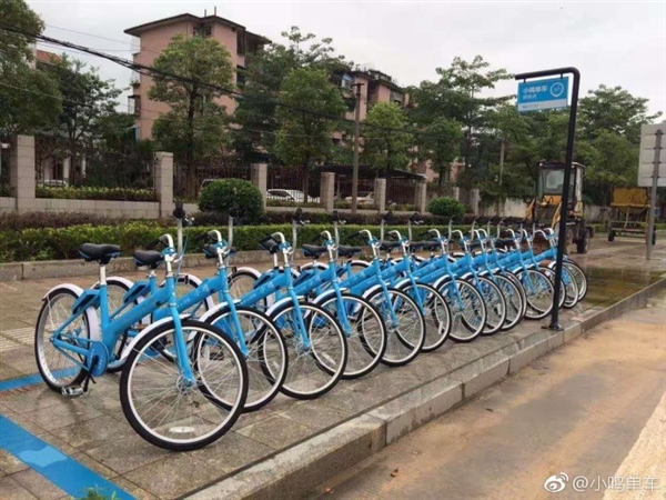 曝小鸣单车裁员99% 控制人失联 押金被挪用