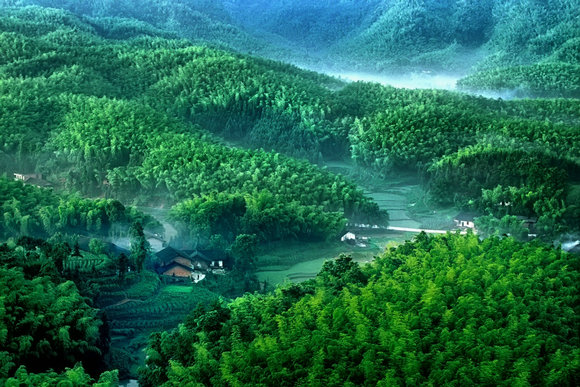 2017中国•长宁蜀南竹海全国热气球锦标赛盛大开赛