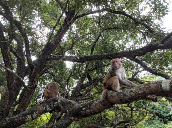 世界青年齐聚第二届海南国际旅游岛（陵水）青年狂欢节