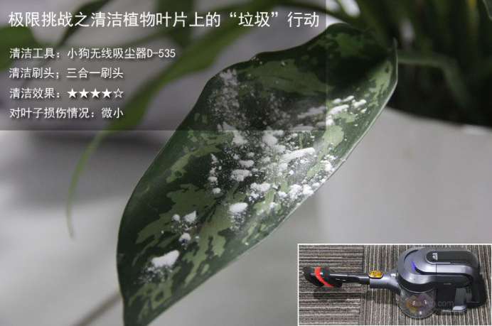 为啥90后更爱无线吸尘器？小狗D-535测试让你秒懂