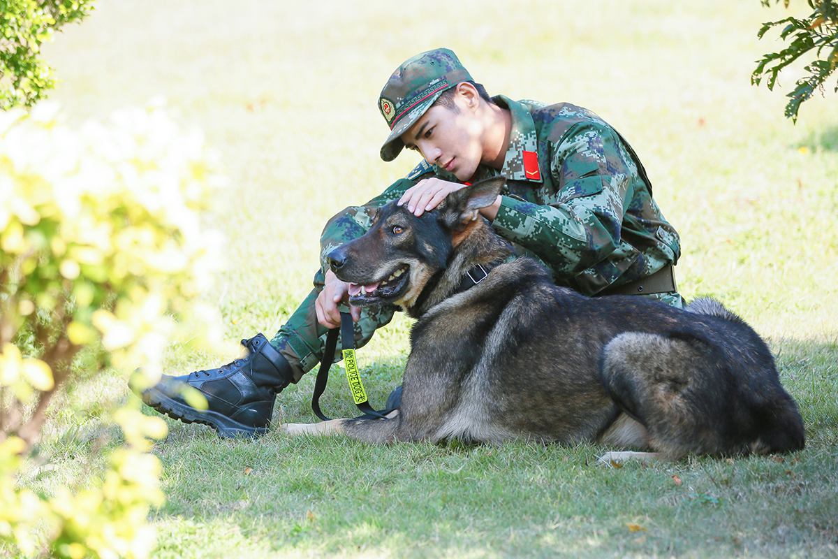 姜潮昆龙默契大爆发 《奇兵神犬》惺惺相惜