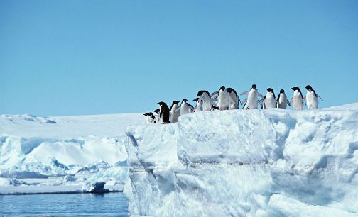 极地游“热情高涨” 今年5000中国游客登陆南极