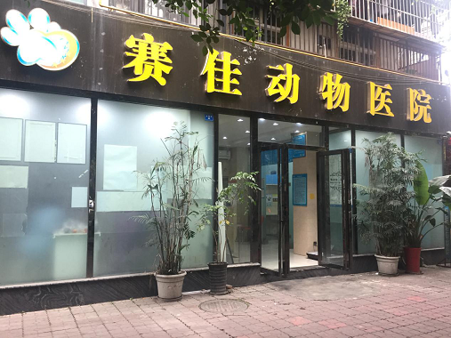 成都宠物医院哪些最靠谱 小编推荐这五家