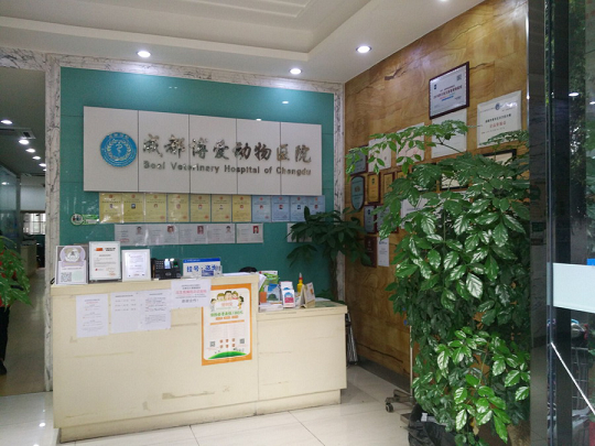 成都宠物医院哪些最靠谱 小编推荐这五家