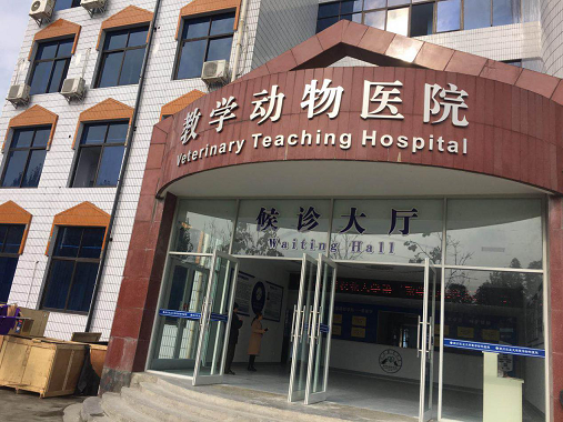 成都宠物医院哪些最靠谱 小编推荐这五家