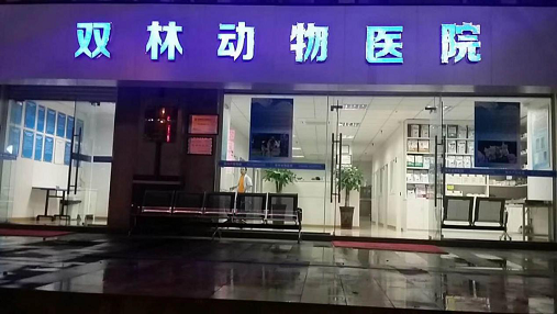 成都宠物医院哪些最靠谱 小编推荐这五家