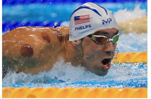 韦杰：从差异到融合世界的发展是有整体性的