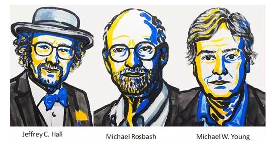 韦杰：从差异到融合世界的发展是有整体性的