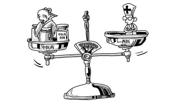 韦杰：从差异到融合世界的发展是有整体性的