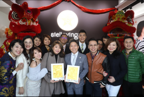 Stellavingze International进军中国上海