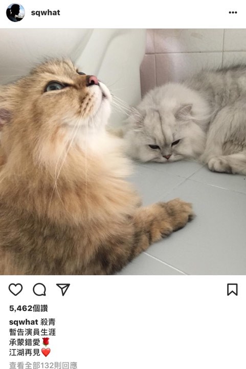 舒淇为什么要暂告演员生涯？原因受热议！