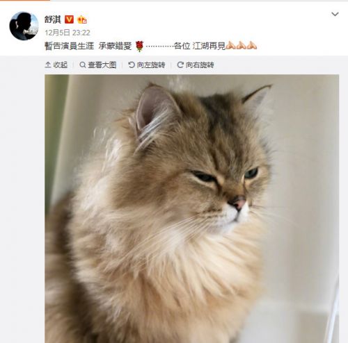 舒淇为什么要暂告演员生涯？原因受热议！