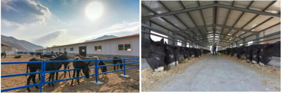 中国一汽荣获“2017中国社会责任扶贫奖”