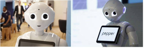 与机器人生活的一天&nbsp;梦想家生活方式展的未来之家