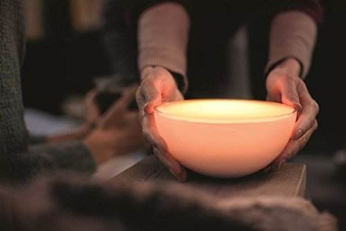 与机器人生活的一天&nbsp;梦想家生活方式展的未来之家