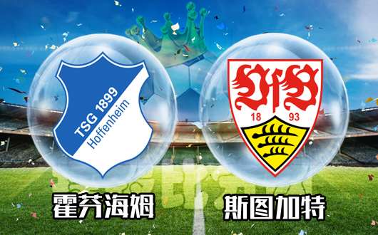 霍芬海姆vs斯图加特 以逸待劳斯图加特欲打翻身仗