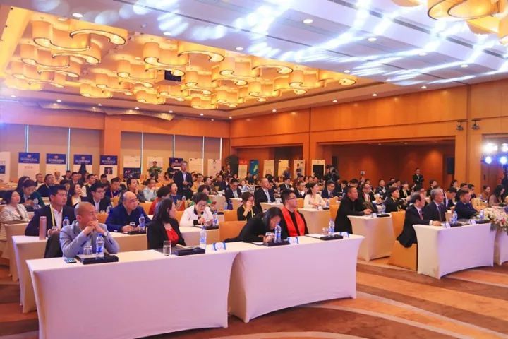 “自由度”闪亮世界品牌峰会,向世界展示中国白酒之美！