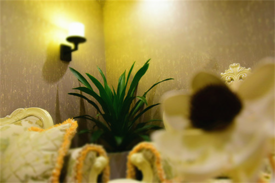 真情在线专属会员爱情定制，给百万优质单身男女支招