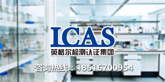 ICAS英格尔：车载充电器安全性检测不容忽视