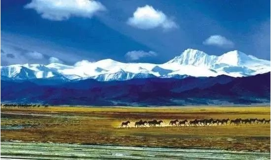 德丰利达集团联合出品七十七天横穿无人区为梦想而