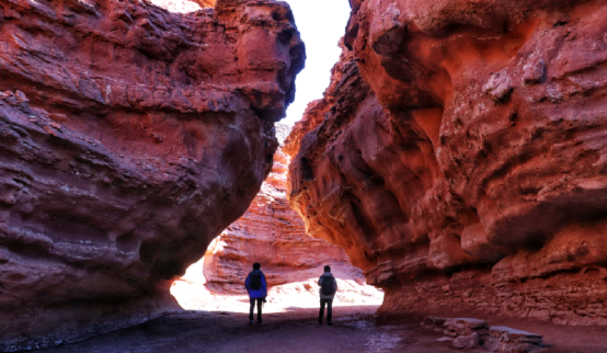 四季内蒙古丨极致探险，玩转冬季内蒙古