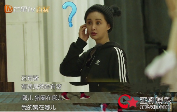 张歆艺黑完老公黑自己，不知偶像包袱为何物