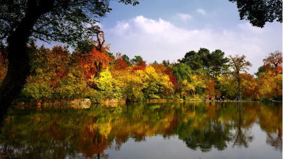 比亚迪@比亚迪“新能源环保主义”2万步徒步挑战上海站招募！