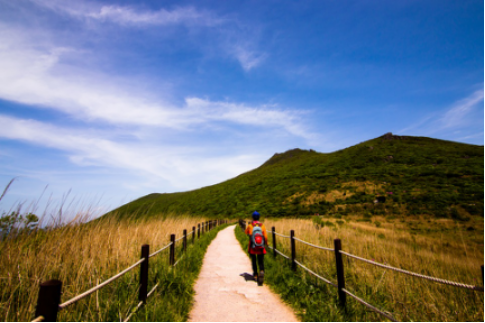 比亚迪@比亚迪“新能源环保主义”2万步徒步挑战上海站招募！