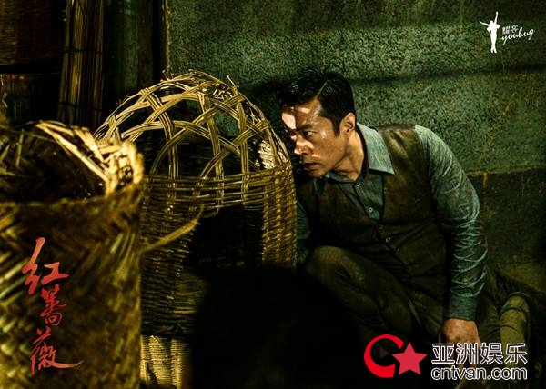 《红蔷薇》杨子姗职场小白升级打怪“模范男友”陈晓撩人不手软