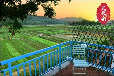 艾米共享稻田全面落实省农业供给侧结构性改革