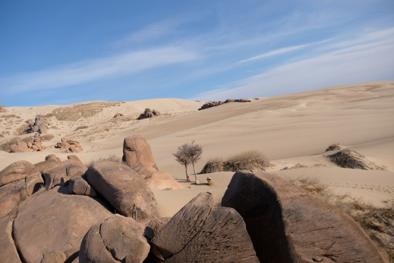 四季内蒙古丨来内蒙古，开启一场暖心音乐之旅