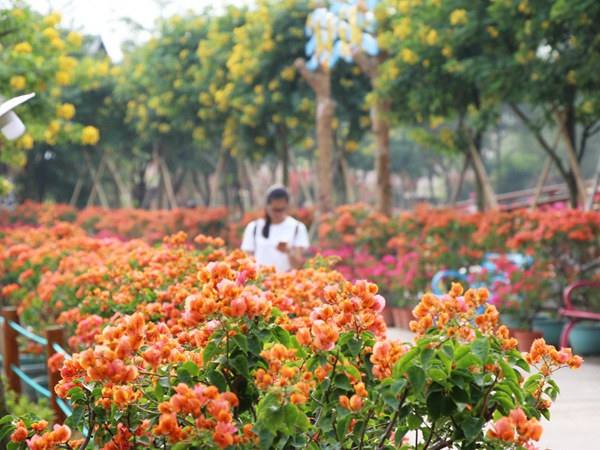 圣诞新年季，佛山生态园欢乐派对约定你！