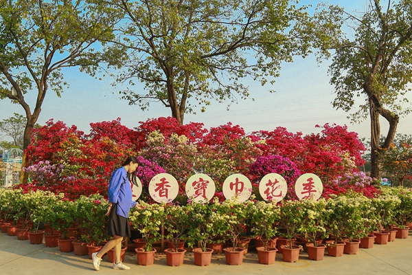 圣诞新年季，佛山生态园欢乐派对约定你！