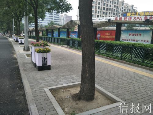 今年21项道路大修工程圆满竣工
