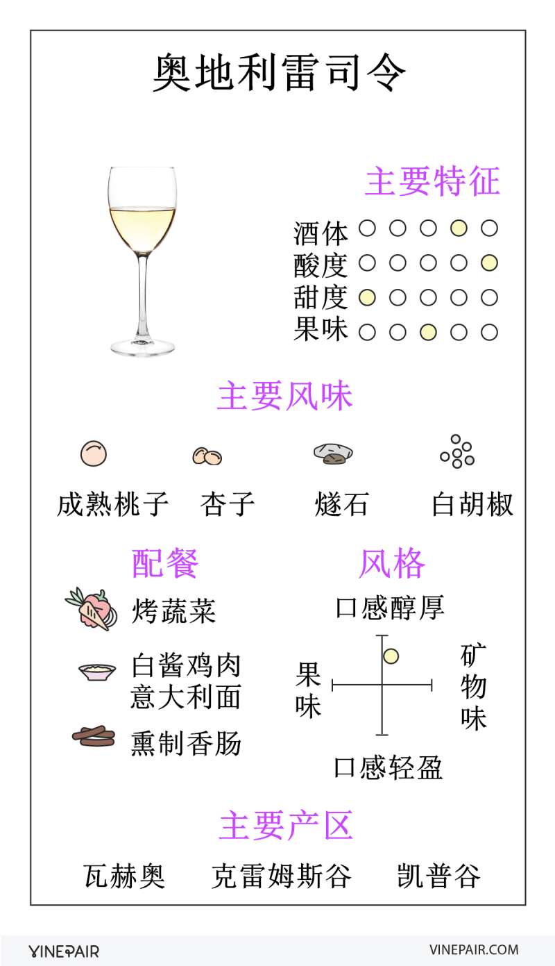 #奥地利雷司令#一分钟读懂奥地利雷司令