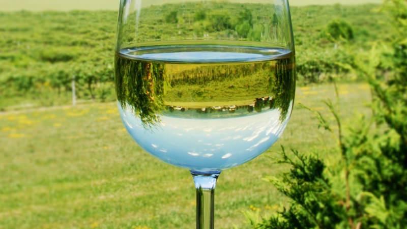 葡萄酒@为什么你的葡萄酒有新鲜青草味？