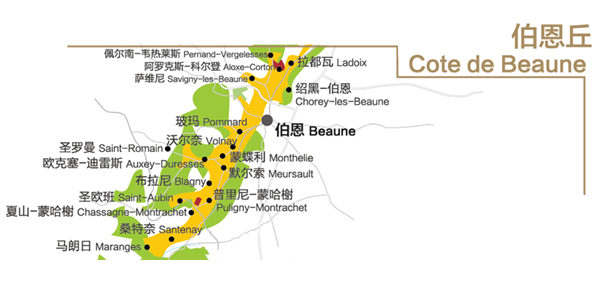 勃艮第酒迷的初级指南