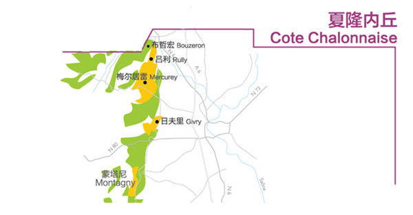 勃艮第酒迷的初级指南