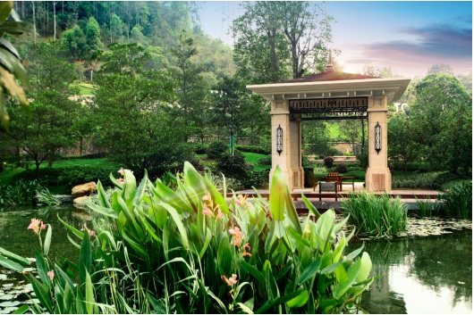 “乐活”派掌门人陈卓林