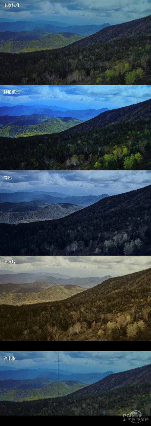 佳能LEGRIA&nbsp;HF&nbsp;R86：“在爱的记忆消失前，请记住我”