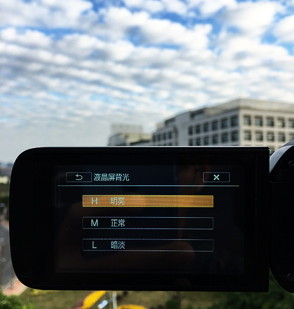 佳能LEGRIA&nbsp;HF&nbsp;R86：“在爱的记忆消失前，请记住我”